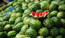 潢川吃瓜事件视频最新进展,最新视频揭露惊人内幕，真相逐渐浮出水面