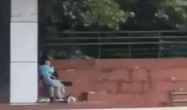 西安今日吃瓜事件视频,一场网络热议的街头冲突瞬间