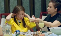 吃瓜博主大姑妈视频,一场家庭娱乐盛宴