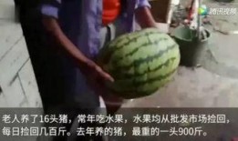 最近有什么吃瓜视频吗,娱乐圈风云再起，精彩瞬间不容错过