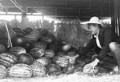 吕梁吃瓜群众事件视频,一场网络舆论的风暴与反思