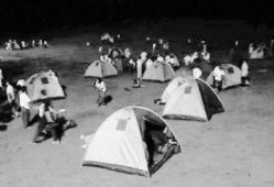 吃瓜帐篷事件视频大全,视频大全揭秘幕后真相