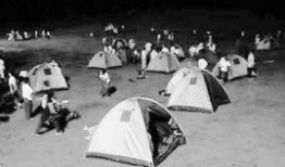 吃瓜帐篷事件视频大全,视频大全揭秘幕后真相