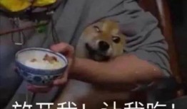 带你吃瓜拍照搞笑视频,趣味拍照，带你领略搞笑瞬间