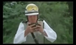 正经吃瓜视频在线观看