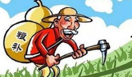 农民吃土瓜的视频素材,农民自食其力，共享丰收喜悦