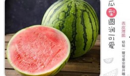 问界吃瓜视频,揭秘网红美食背后的故事