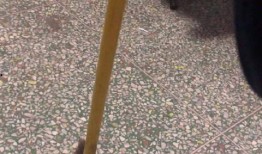 立扫把玩立正吃瓜视频,一场别开生面的网络视频盛宴