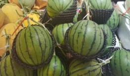 吃瓜季节视频大全,盘点年度热门视频大全