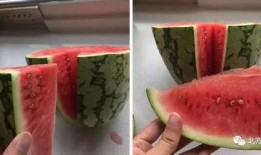 宝石瓜的籽可以吃吗视频