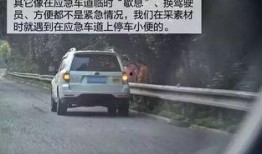 应急车道停车吃瓜视频,安全意识与公共道德的反思
