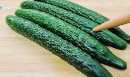 吃瓜手账怎么做视频,轻松打造趣味短视频