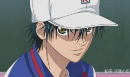 动漫吃瓜王子视频大全免费观看,动漫视频盛宴，免费畅享无限欢乐