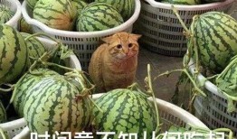 吃瓜爆料杭州小网红视频,吃瓜群众热议幕后真相