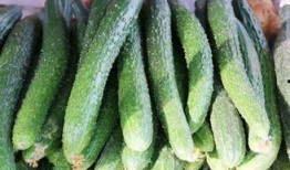 吃药吃瓜了的视频大全,趣味生活瞬间回顾