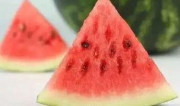 冬天吃瓜广告视频,甜蜜瓜香——冬季吃瓜新体验