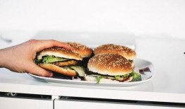 陪玩吃瓜夹汉堡视频,陪玩吃瓜夹汉堡，带你领略趣味生活瞬间