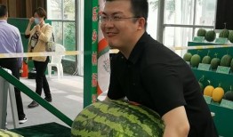 吃瓜群众摆台视频,一场视觉盛宴背后的故事