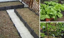 临朐楼顶吃瓜视频,临朐居民共享夏日清凉时光