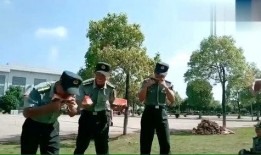 浙江东方教官吃瓜视频,揭秘军营生活幕后趣闻