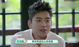 吃瓜爆料王大陆视频在线观看,揭秘娱乐圈幕后故事