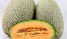 怎么吃带色哈密瓜视频,视频教学，轻松掌握