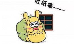 吃瓜群众感人视频素材下载,感人视频素材见证人间真情