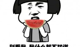 吃瓜双人互骂事件视频在线观看,双人格斗视频引发网络热议