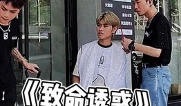 开放吃瓜群众视频,一场全民参与的娱乐盛宴