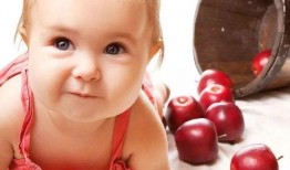 小孩吃小瓜视频大全集免费观看,免费畅享小孩吃小瓜视频大全集