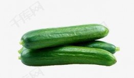 免费吃瓜叫卖视频大全,视频大全带你领略网络奇观