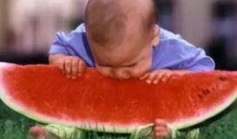 推背吃瓜视频,短视频时代的趣味解读与现象分析