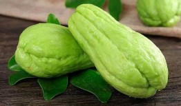 蒲瓜菜怎么吃最好吃视频,视频教你家常烹饪秘诀