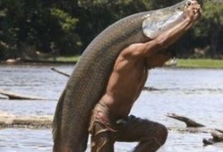 有鱼喜欢吃小瓜吗视频