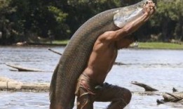 有鱼喜欢吃小瓜吗视频