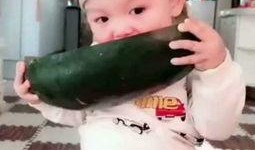 吃瓜视频儿童大全,趣味童年瞬间回顾