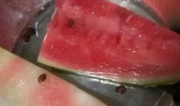 拉面店吃瓜视频,吃瓜群众围观拉面店奇闻轶事