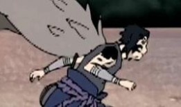 阿飞与大鹅吃瓜视频大全,趣味视频大盘点