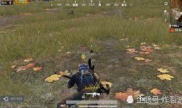 吃瓜人遇到狼人视频播放,视频曝光引网友热议