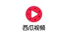 吃瓜视频拼音怎么打的出来,揭秘“吃瓜视频”拼音打字背后的趣味与技巧
